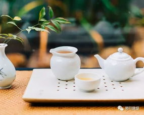 弘泰金融外包服務面試會 把握機遇，在金融外包服務領域揚帆起航